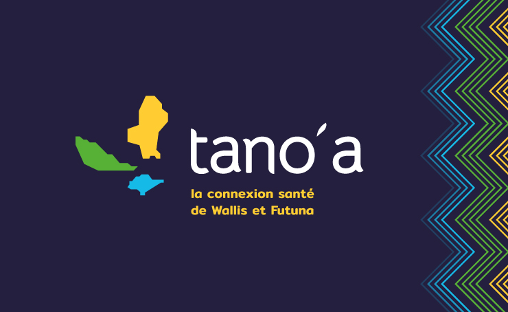 Nous avons travaillé sur la charte graphique du projet Tano'a.