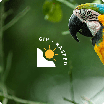 GIP Raspeg